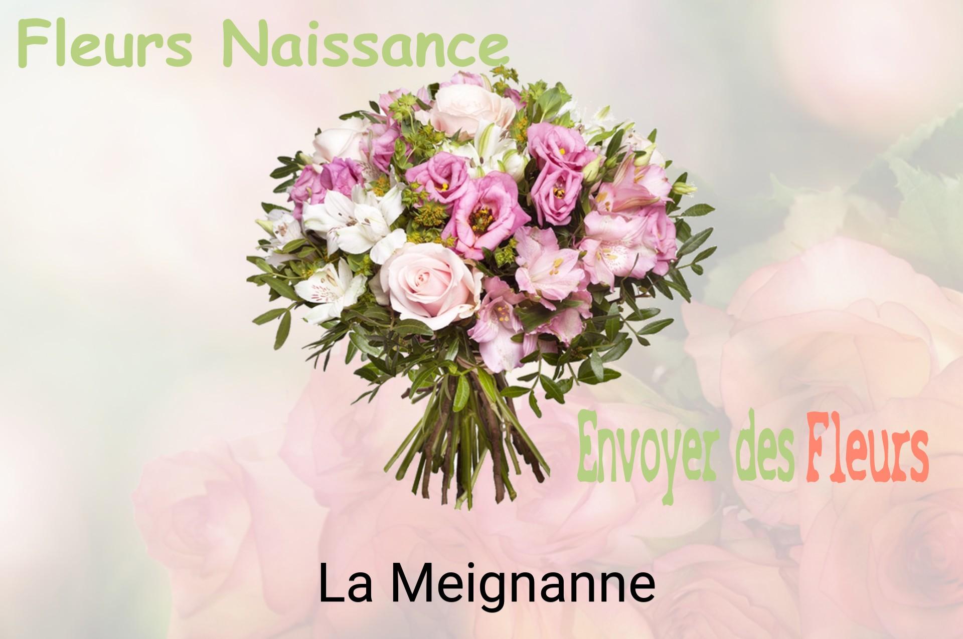 Bouquet de fleurs de naissance livré à La Meignanne