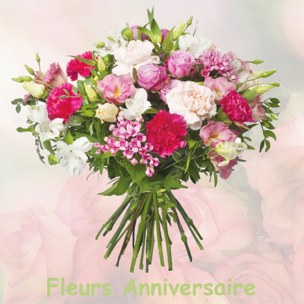 fleurs anniversaire LA-MEIGNANNE