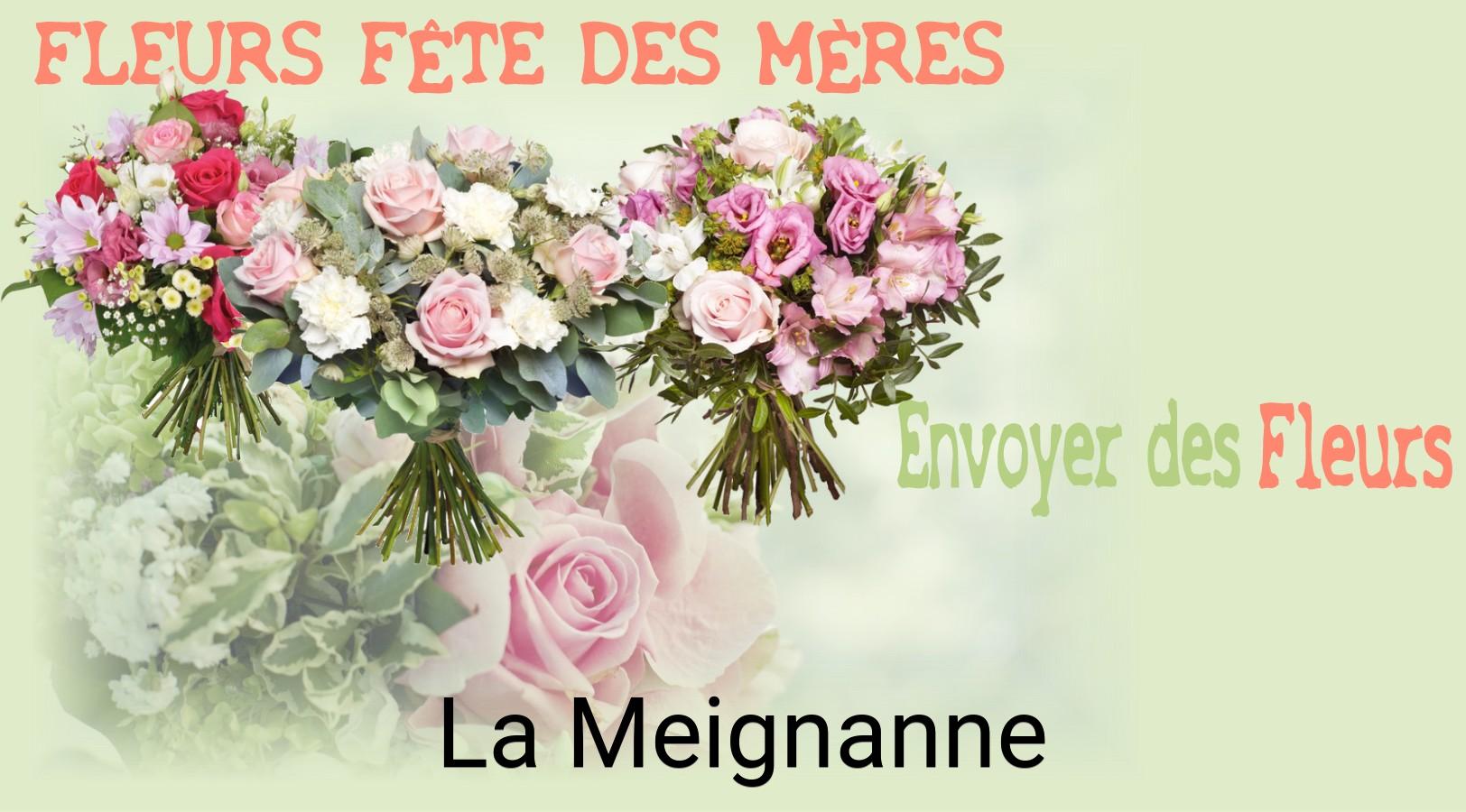 Bouquet de Fête des Mères livré à La Meignanne